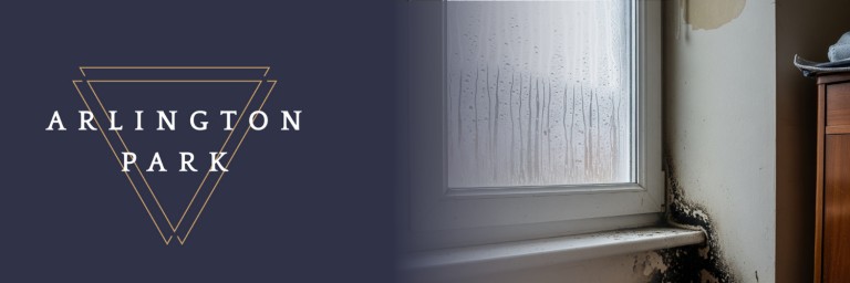 Damp, Mould, and Condensation