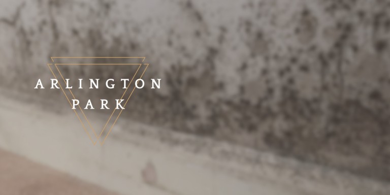 Damp, Mould, and Condensation