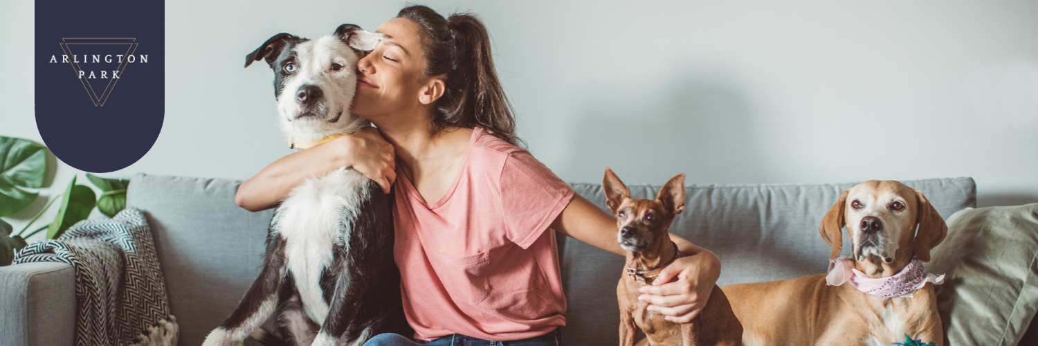 Dog and cat in rental property